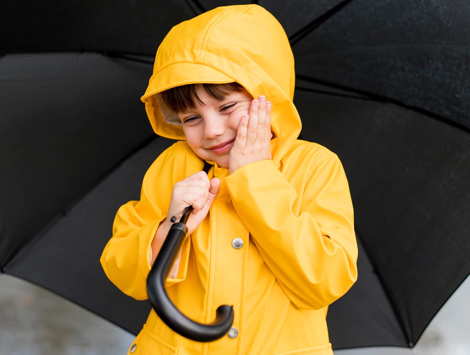 Umbrellas & Rainwear