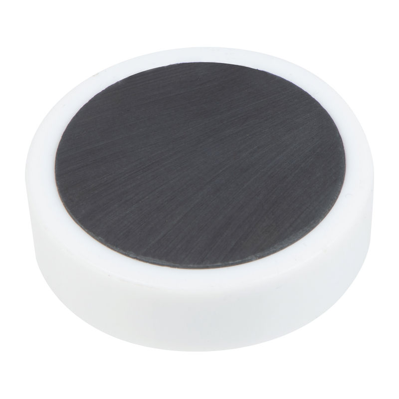 Magnet
